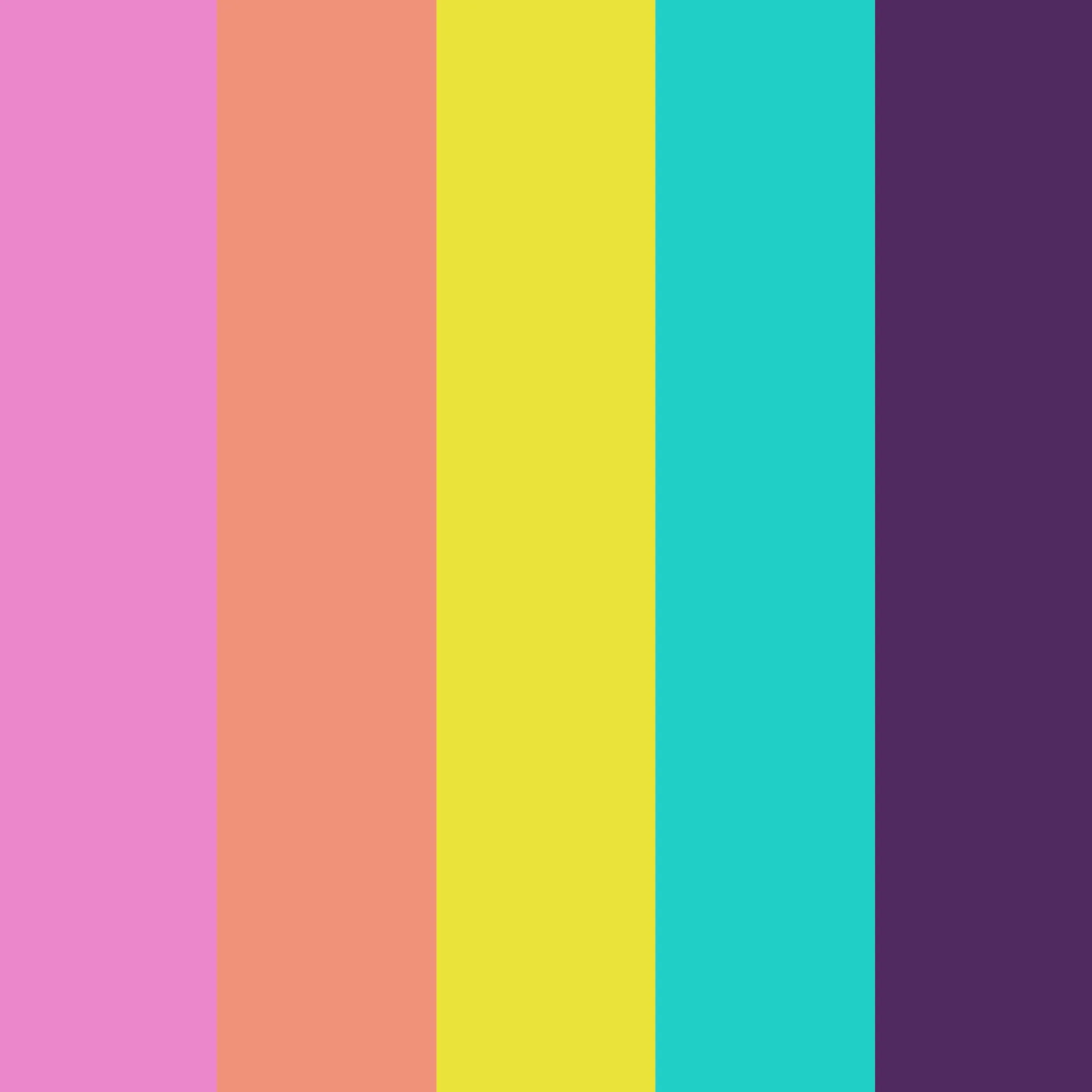 ColorShot Festival 5 Pack - Image 11