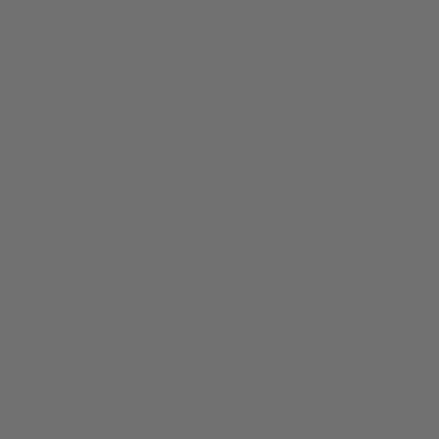ColorShot Gray - Image 10
