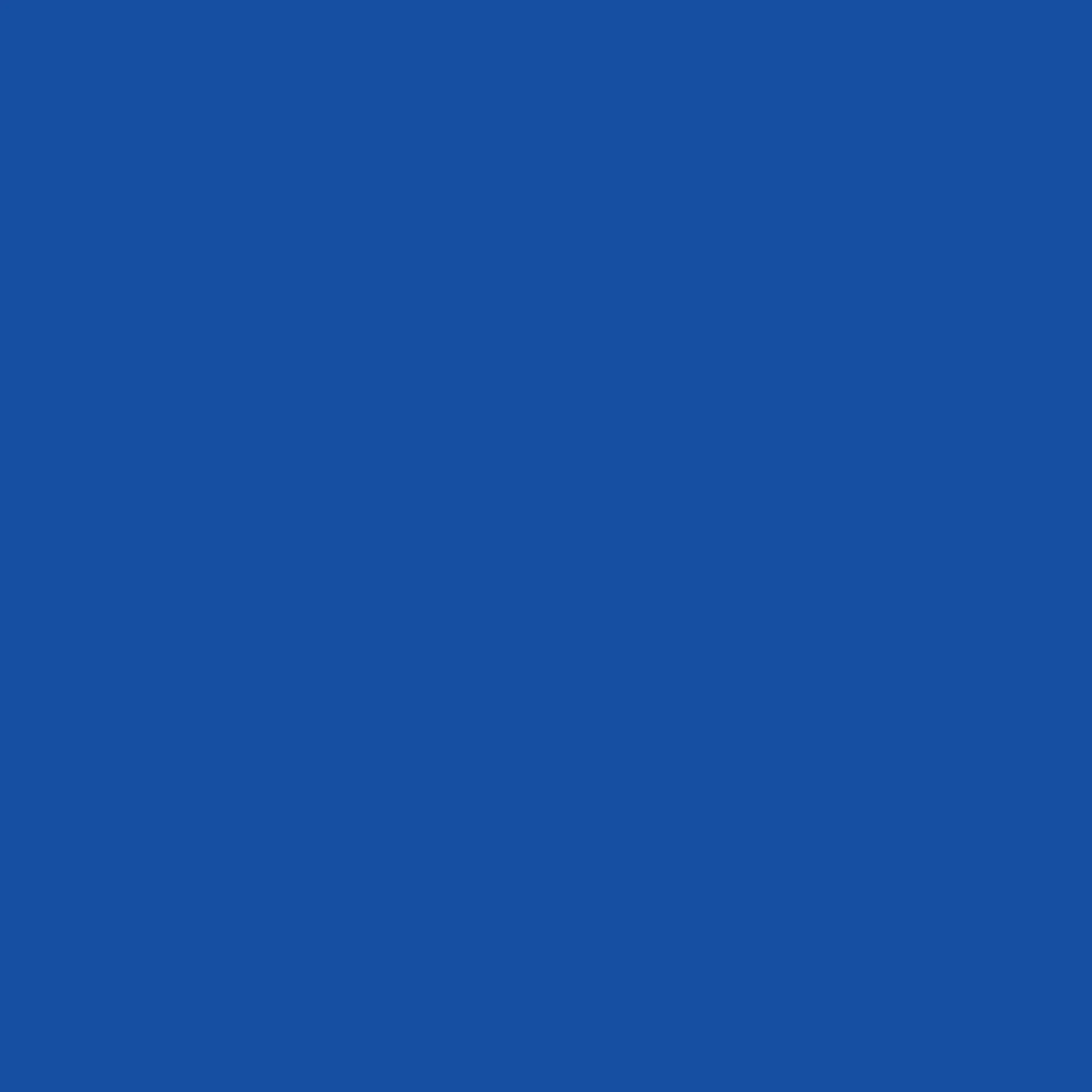 Tulip ColorShot Outdoor Navy - Image 10
